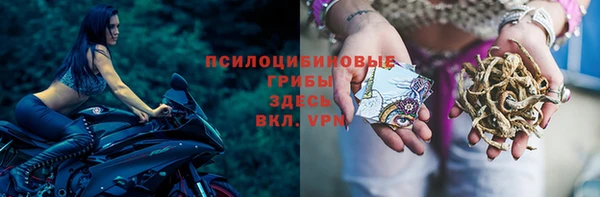 ешки Алексеевка